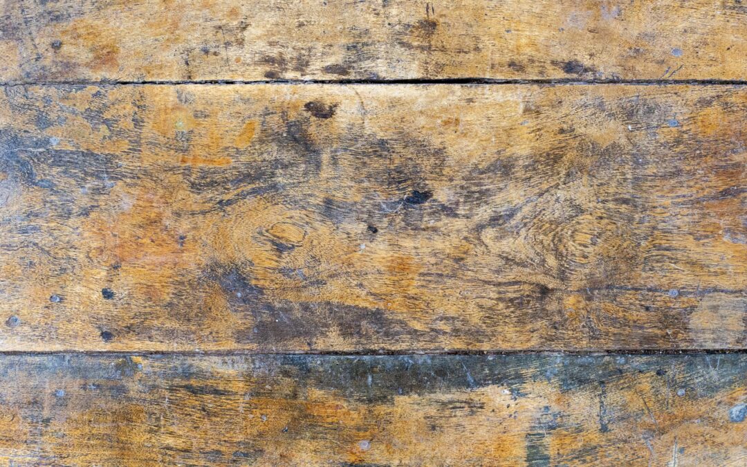 Unmasking the Hidden Danger: Mold in Floor Wood