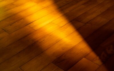 Unlocking Secrets: Choosing Your Perfect Hardwood Floor Color